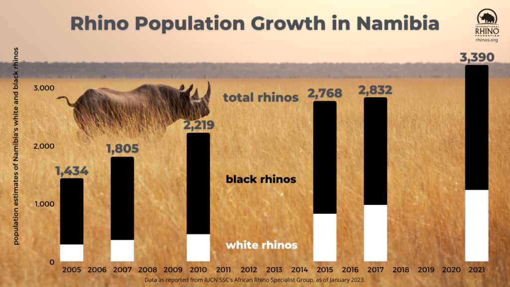 State of the Rhino Update: Rhino Poaching Nearly Doubles in Namibia