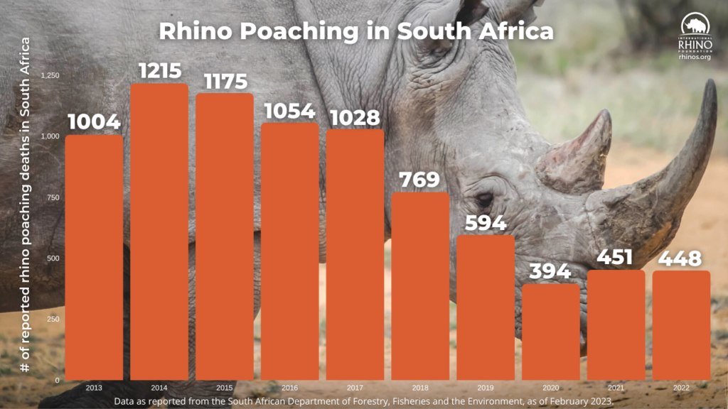 A New Poaching Problem in South Africa International Rhino Foundation