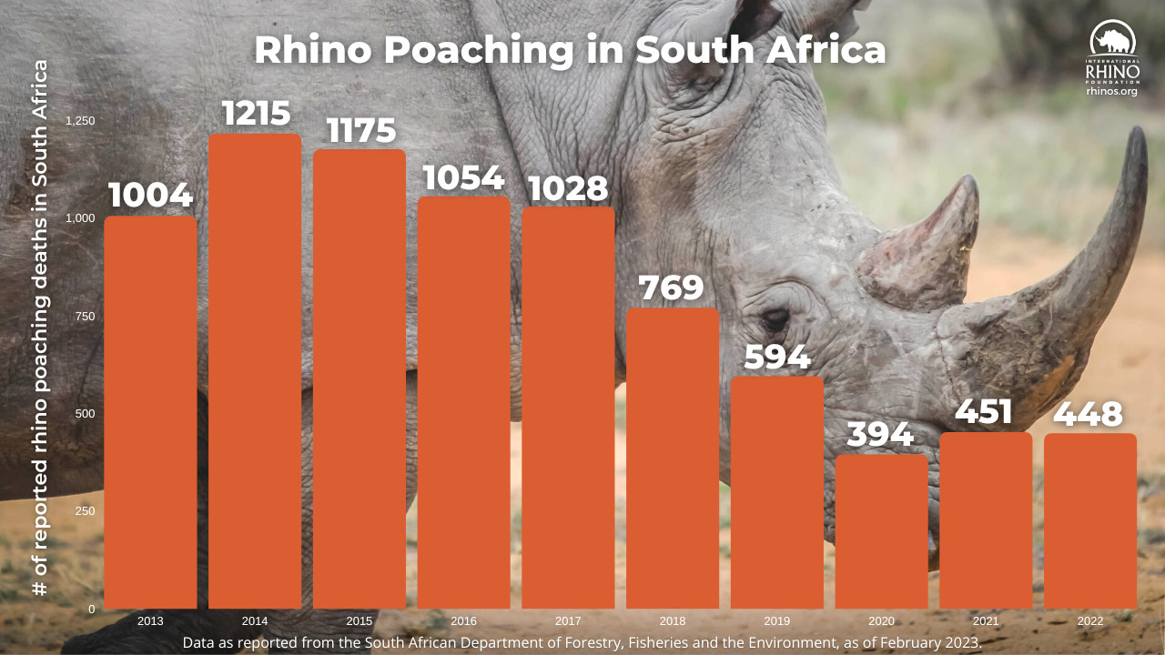 Poaching In Africa Statistics