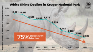 A New Poaching Problem in South Africa - International Rhino ...