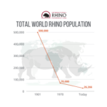 World Rhino Day - International Rhino FoundationInternational Rhino ...