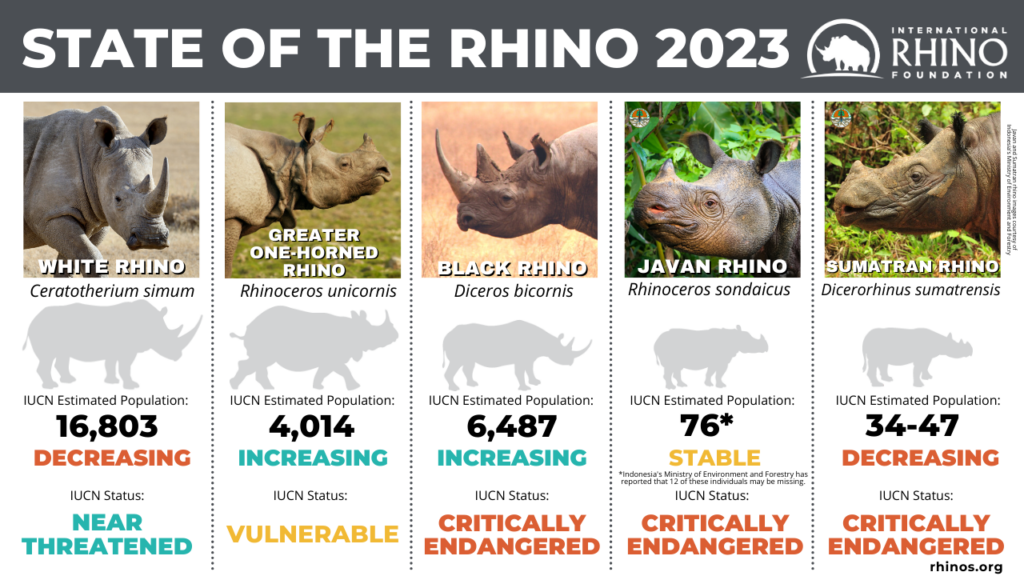 State of the Rhino | International Rhino Foundation