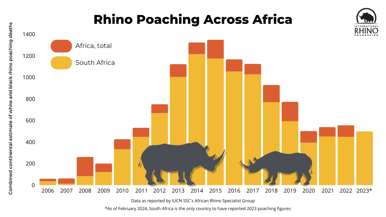 Rhino Poaching on the Rise - International Rhino ...