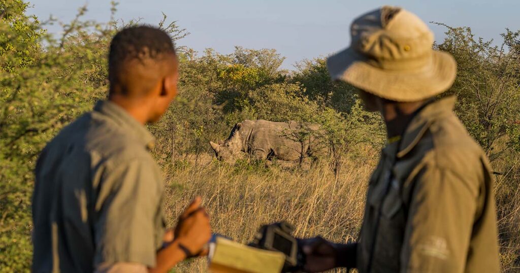 Rhino monitors