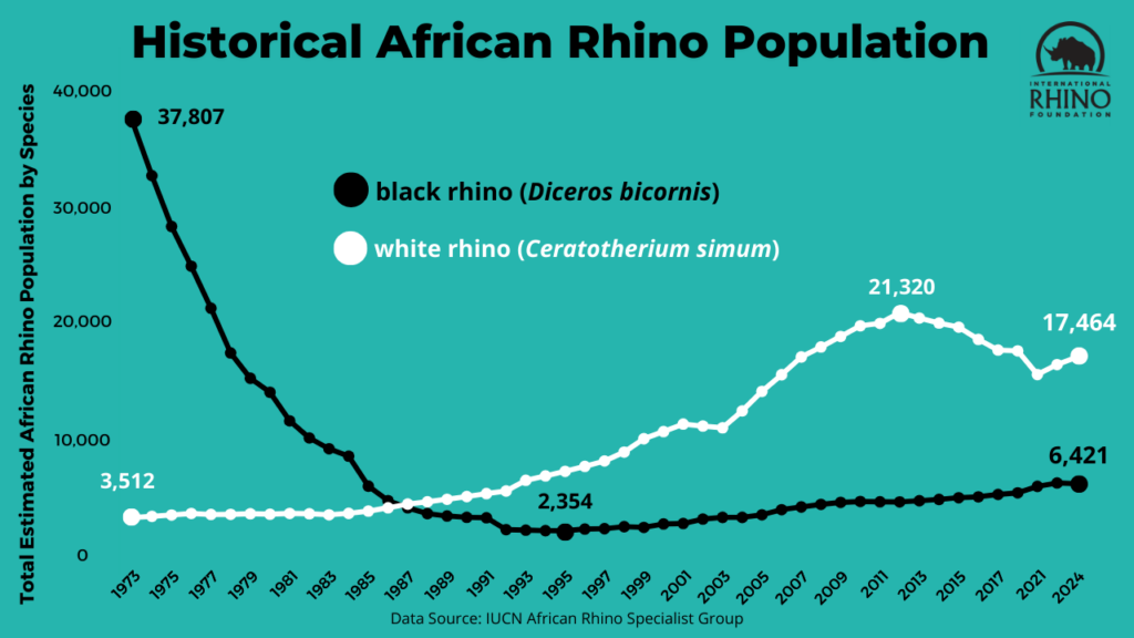 graph of black and white rhino population changes from 1973 to 2024