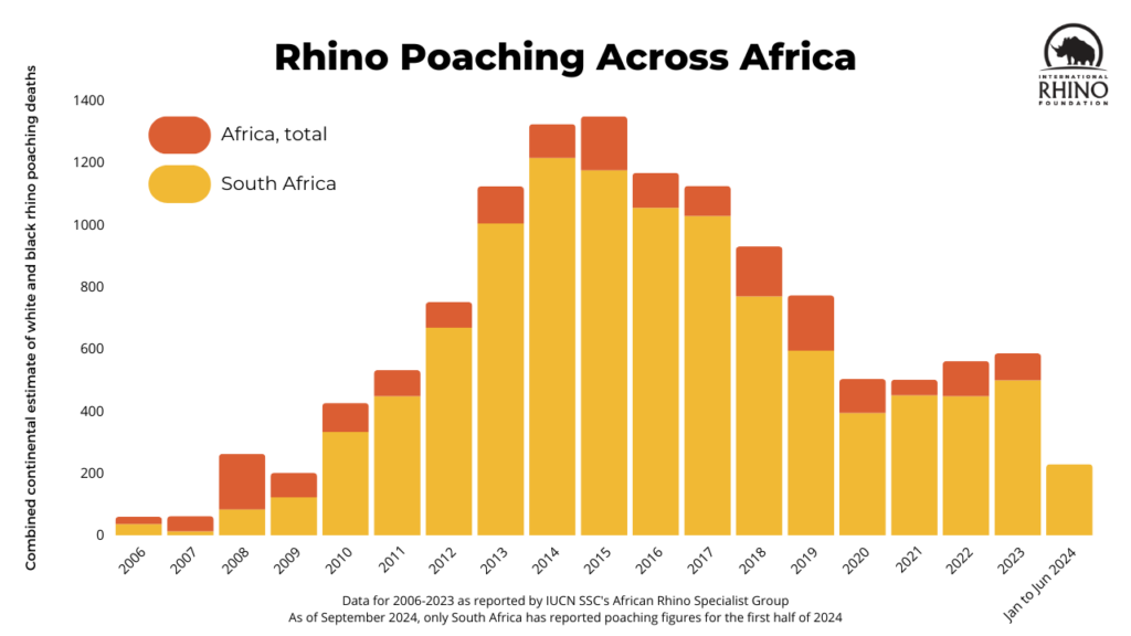 bar graph of rhino poaching across Africa from 2006 to 2024 with figures from South Africa highlighted