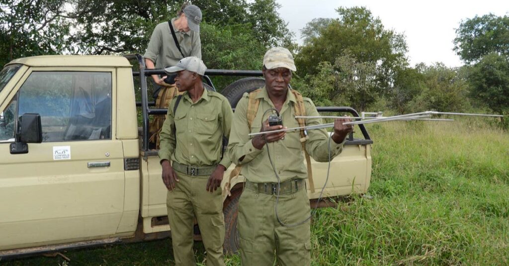 Two rhino rangers using sonar from a truck