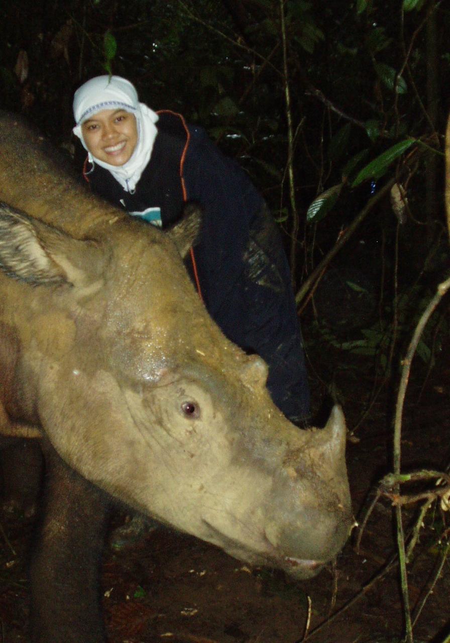 Dr. Nia with a Sumatran rhino